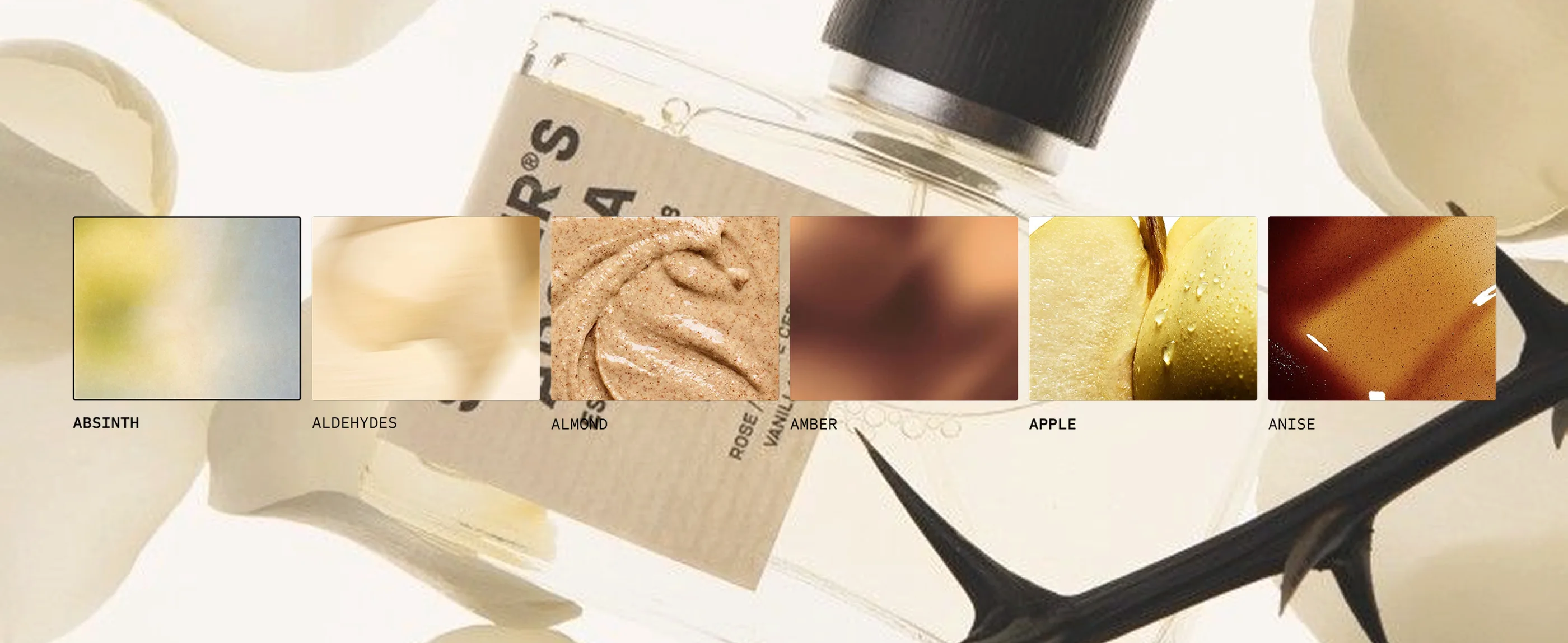 SCNT — collections and filter system